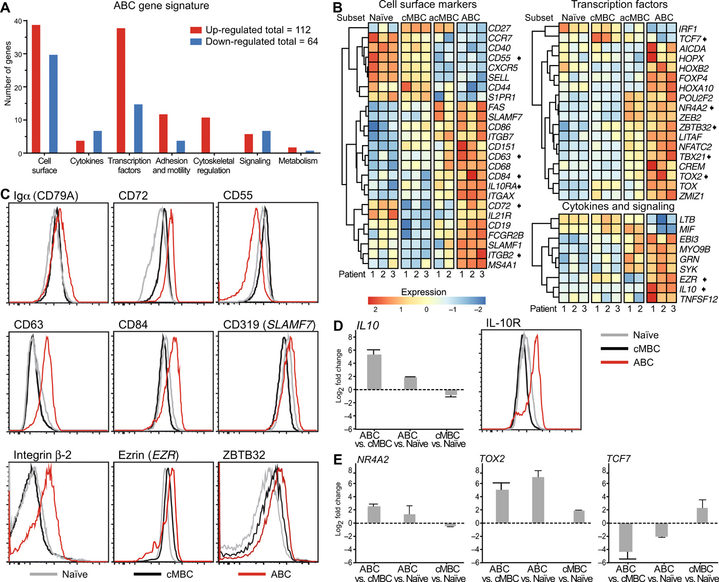 Shared Transcriptional Profiles